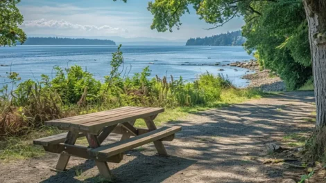 a bench by open water
