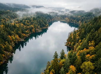 View of a river, pine trees, and fog over the hills. 